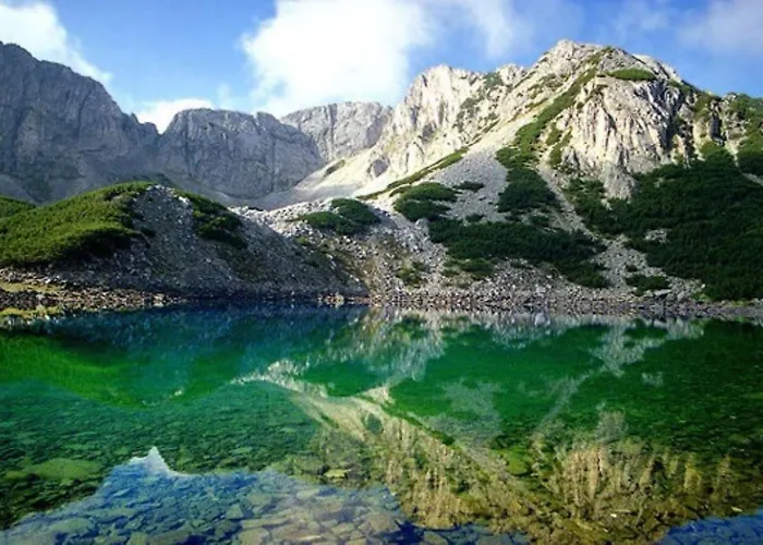 Privat Belvedere**** アパート バンスコ